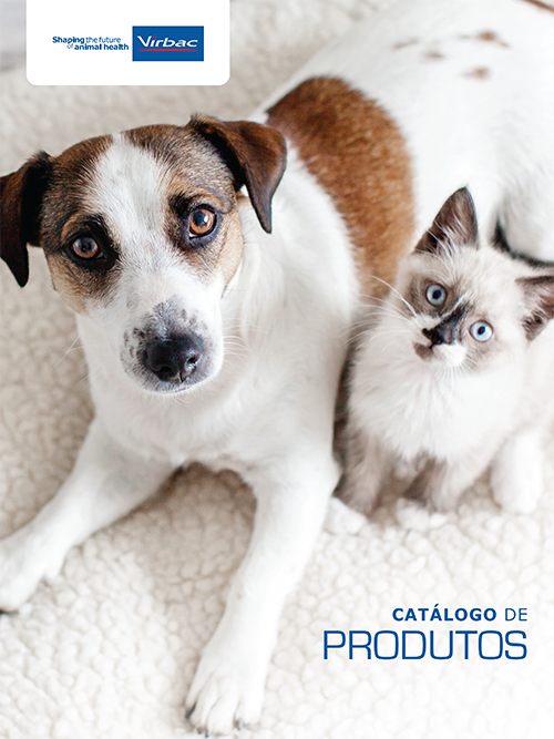Catálogo